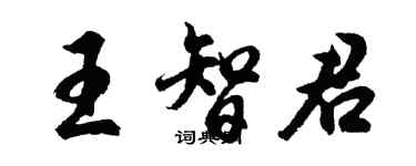 胡問遂王智君行書個性簽名怎么寫