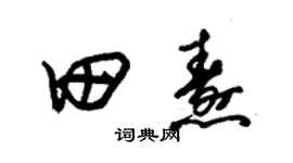 朱錫榮田燾草書個性簽名怎么寫