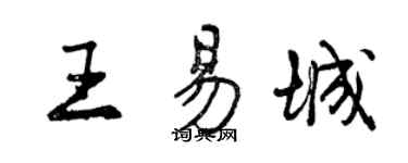 曾慶福王易城行書個性簽名怎么寫