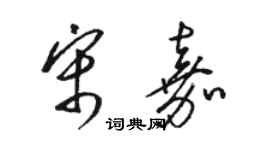 駱恆光宋嘉草書個性簽名怎么寫