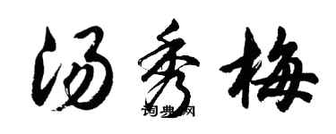 胡問遂湯秀梅行書個性簽名怎么寫