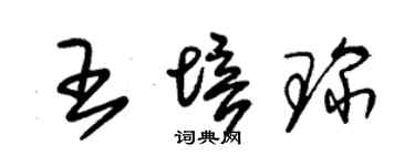 朱錫榮王培琛草書個性簽名怎么寫