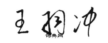 駱恆光王羽沖草書個性簽名怎么寫