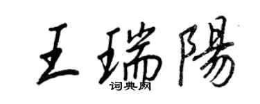 王正良王瑞陽行書個性簽名怎么寫