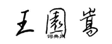 王正良王園嵩行書個性簽名怎么寫