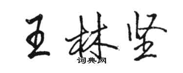 駱恆光王林堅行書個性簽名怎么寫