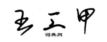 朱錫榮王工甲草書個性簽名怎么寫