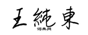 王正良王純東行書個性簽名怎么寫