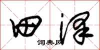 朱錫榮田澤草書怎么寫