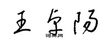 梁錦英王卓陽草書個性簽名怎么寫