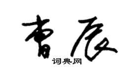朱錫榮曹辰草書個性簽名怎么寫