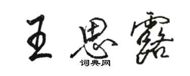 駱恆光王思露行書個性簽名怎么寫