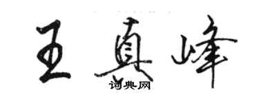 駱恆光王真峰行書個性簽名怎么寫