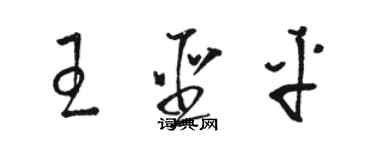 駱恆光王聖平草書個性簽名怎么寫