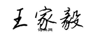 王正良王家毅行書個性簽名怎么寫