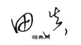 駱恆光田真草書個性簽名怎么寫