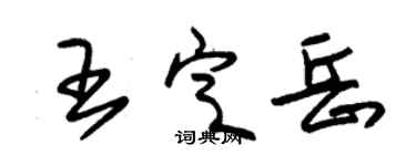 朱錫榮王定岳草書個性簽名怎么寫