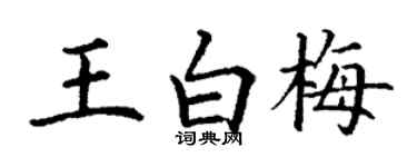 丁謙王白梅楷書個性簽名怎么寫