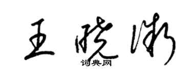 梁錦英王曉微草書個性簽名怎么寫