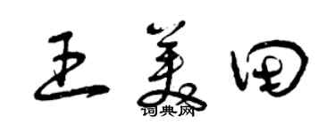 曾慶福王美田草書個性簽名怎么寫