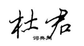 王正良杜君行書個性簽名怎么寫