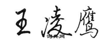 駱恆光王凌鷹行書個性簽名怎么寫