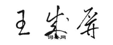 駱恆光王成屏草書個性簽名怎么寫