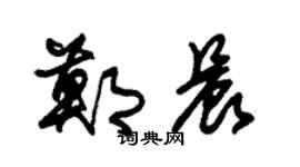朱錫榮鄭晨草書個性簽名怎么寫