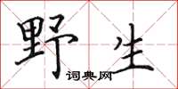 田英章野生楷書怎么寫