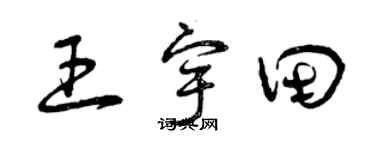 曾慶福王宇田草書個性簽名怎么寫