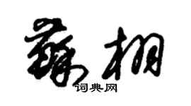 朱錫榮蘇栩草書個性簽名怎么寫