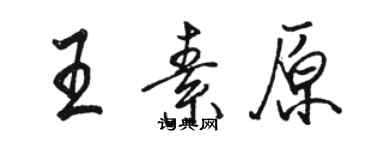 駱恆光王素原行書個性簽名怎么寫