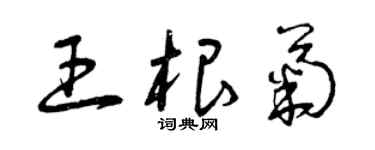 曾慶福王根菊草書個性簽名怎么寫