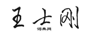 駱恆光王士剛行書個性簽名怎么寫