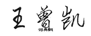 駱恆光王曾凱行書個性簽名怎么寫