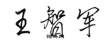 駱恆光王智軍行書個性簽名怎么寫