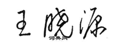 駱恆光王曉源草書個性簽名怎么寫