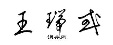 梁錦英王瑞或草書個性簽名怎么寫