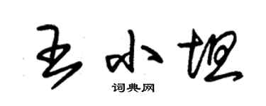 朱錫榮王小坦草書個性簽名怎么寫