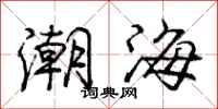 龐中華潮海行書怎么寫