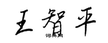 王正良王智平行書個性簽名怎么寫