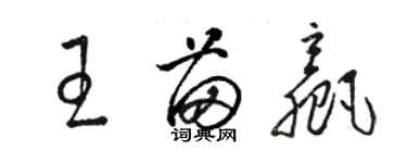 駱恆光王苗贏草書個性簽名怎么寫