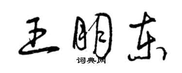 曾慶福王朋東草書個性簽名怎么寫