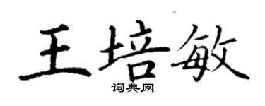 丁謙王培敏楷書個性簽名怎么寫