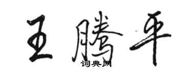 駱恆光王騰平行書個性簽名怎么寫