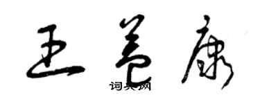 曾慶福王益康草書個性簽名怎么寫