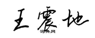 王正良王震地行書個性簽名怎么寫