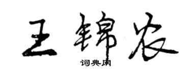 曾慶福王錦農行書個性簽名怎么寫