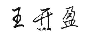 駱恆光王開盈行書個性簽名怎么寫