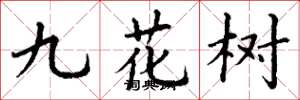 丁謙九花樹楷書怎么寫